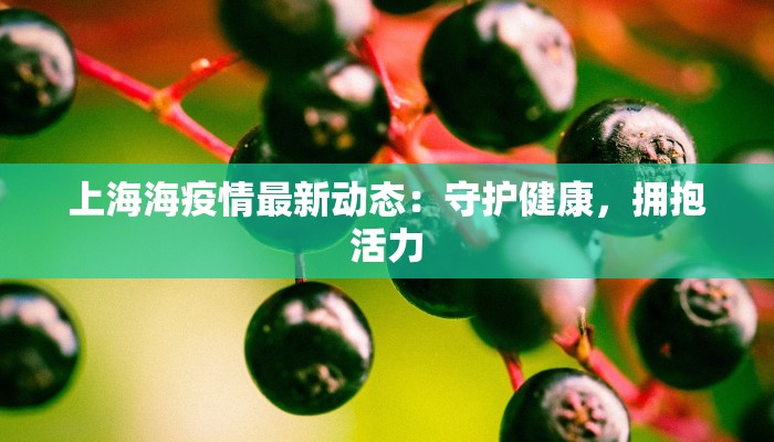 上海海疫情最新动态:守护健康,拥抱活力 上海海疫情最新动态:守护健康,拥抱活力