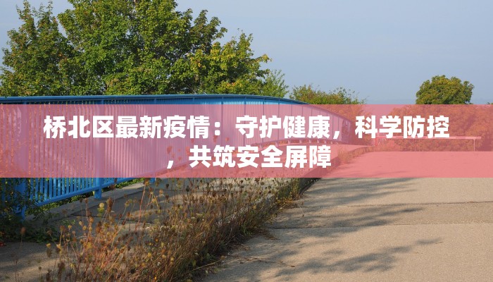 桥北区最新疫情：守护健康，科学防控，共筑安全屏障