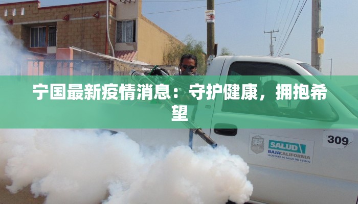 宁国最新疫情消息：守护健康，拥抱希望