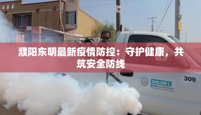 濮阳东明最新疫情防控：守护健康，共筑安全防线