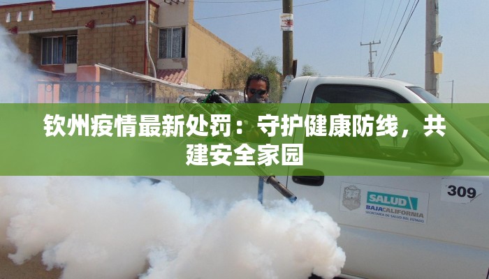 钦州疫情最新处罚：守护健康防线，共建安全家园