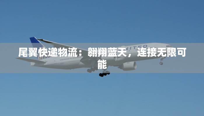 尾翼快递物流：翱翔蓝天，连接无限可能