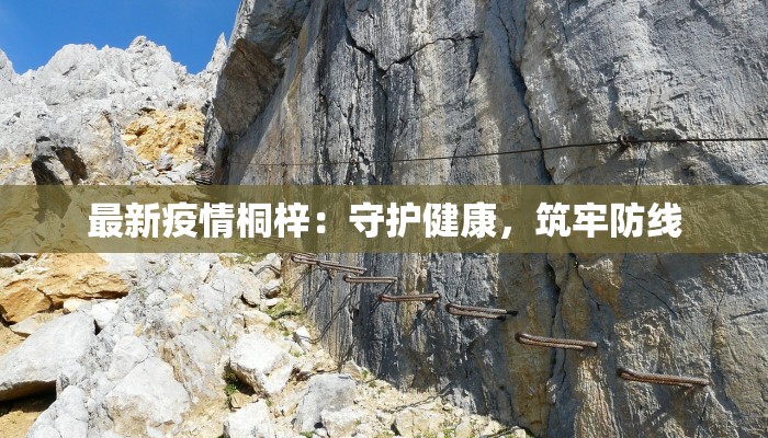 最新疫情桐梓：守护健康，筑牢防线