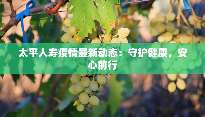 太平人寿疫情最新动态：守护健康，安心前行