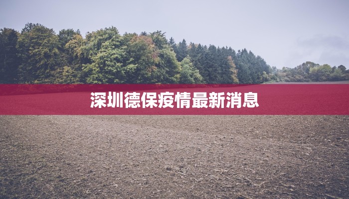 深圳德保疫情最新消息