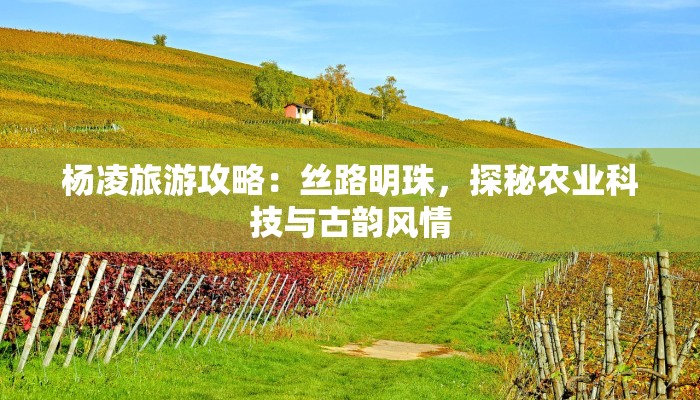 广州疫情控制效率最新