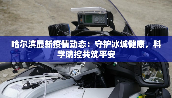 哈尔滨最新疫情动态：守护冰城健康，科学防控共筑平安