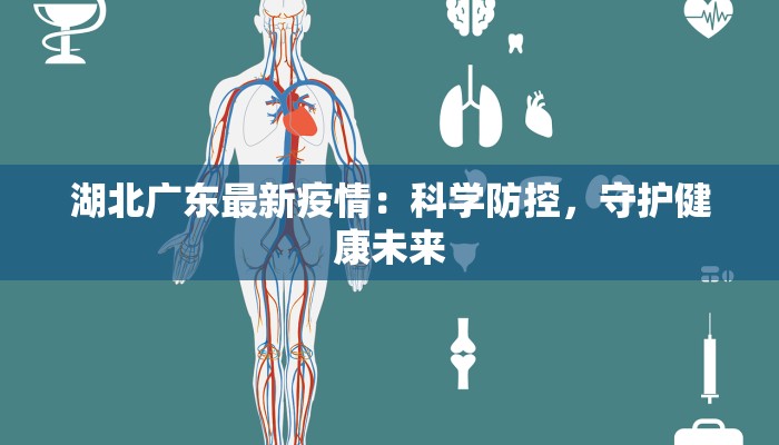 湖北广东最新疫情：科学防控，守护健康未来