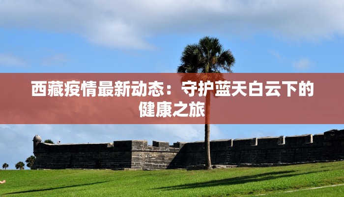 西藏疫情最新动态：守护蓝天白云下的健康之旅