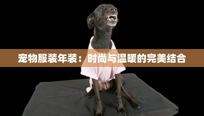 北仑疫情最新公布情况