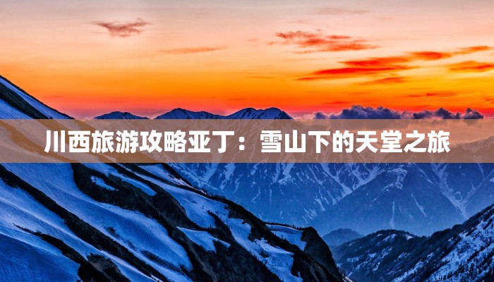 滨州花园最新疫情：守护家园，科学防控共筑健康防线