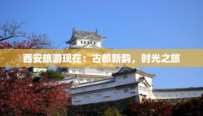 全程卖萌旅游：萌翻你的每一次出游