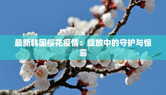 最新韩国樱花疫情：绽放中的守护与惊喜