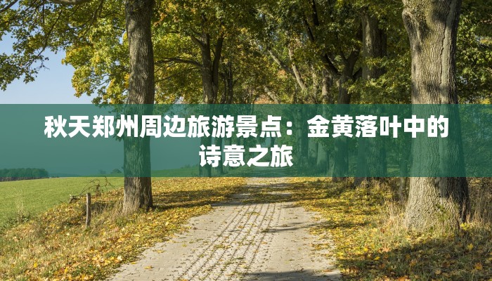 秋天郑州周边旅游景点：金黄落叶中的诗意之旅
