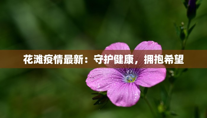 最新疫情惠安：守护健康，惠及万家