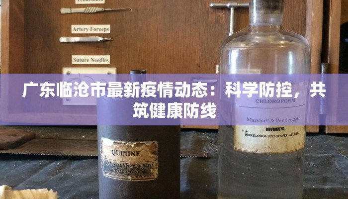 广东临沧市最新疫情动态：科学防控，共筑健康防线