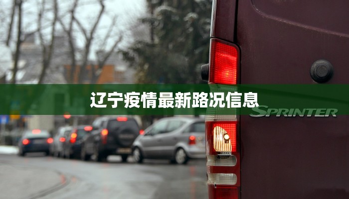 辽宁疫情最新路况信息