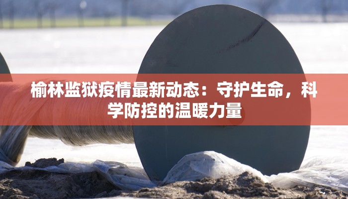 榆林监狱疫情最新动态：守护生命，科学防控的温暖力量