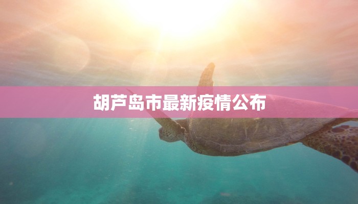 胡芦岛市最新疫情公布