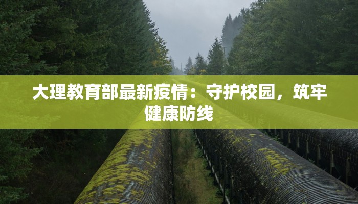 大理教育部最新疫情：守护校园，筑牢健康防线